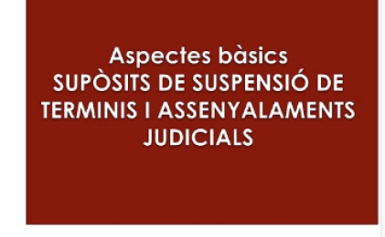 L´ICAB publica una guia sobre els aspectes bàsics dels supòsits de suspensió de terminis i assenyalaments judicials