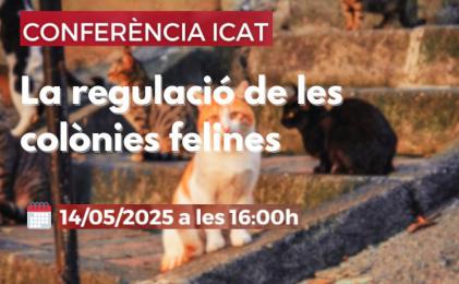 L´ICAT programa una conferència per analitzar la nova normativa sobre colònies felines